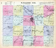 Saline County, Kansas State Atlas 1887